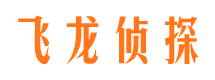 定边侦探